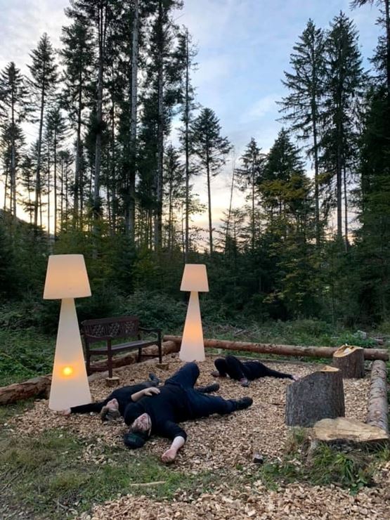 "50ÈME" PROMENONS-NOUS DANS LE BOIS